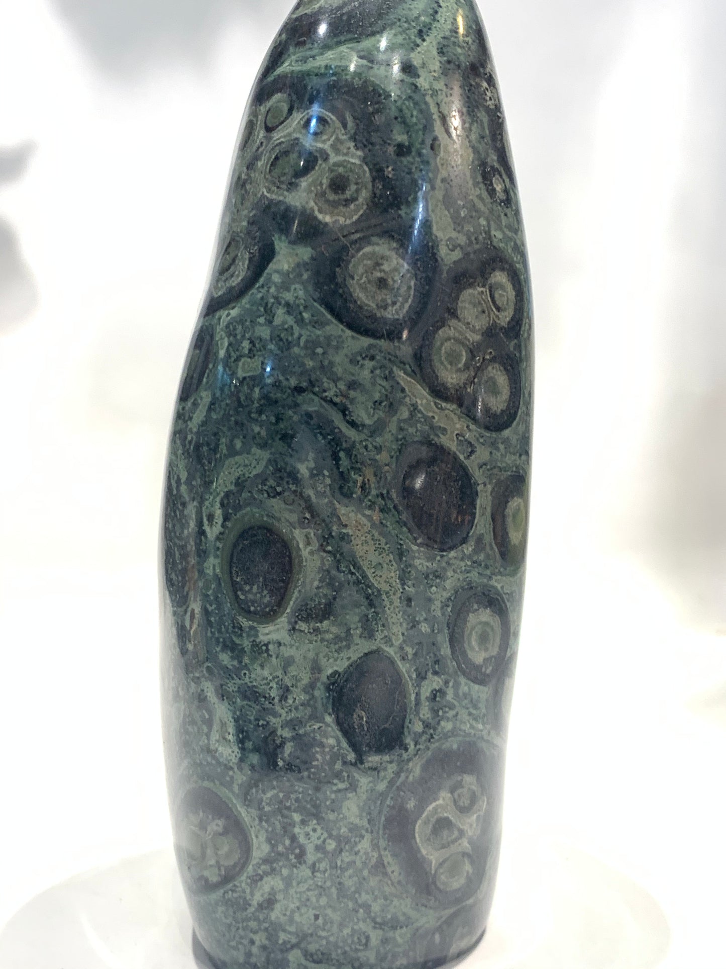 Kambaba Jasper (Nebula Stone)