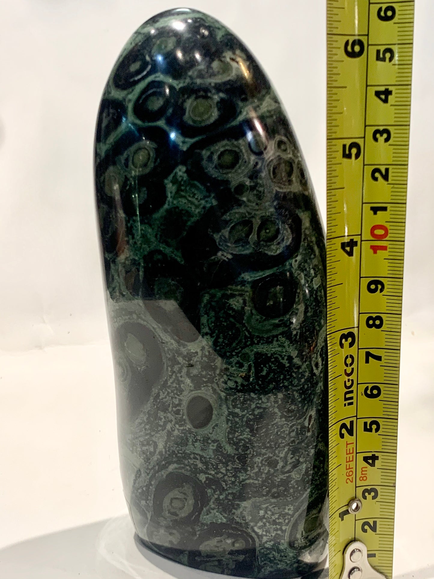 Kambaba Jasper (Nebula Stone)