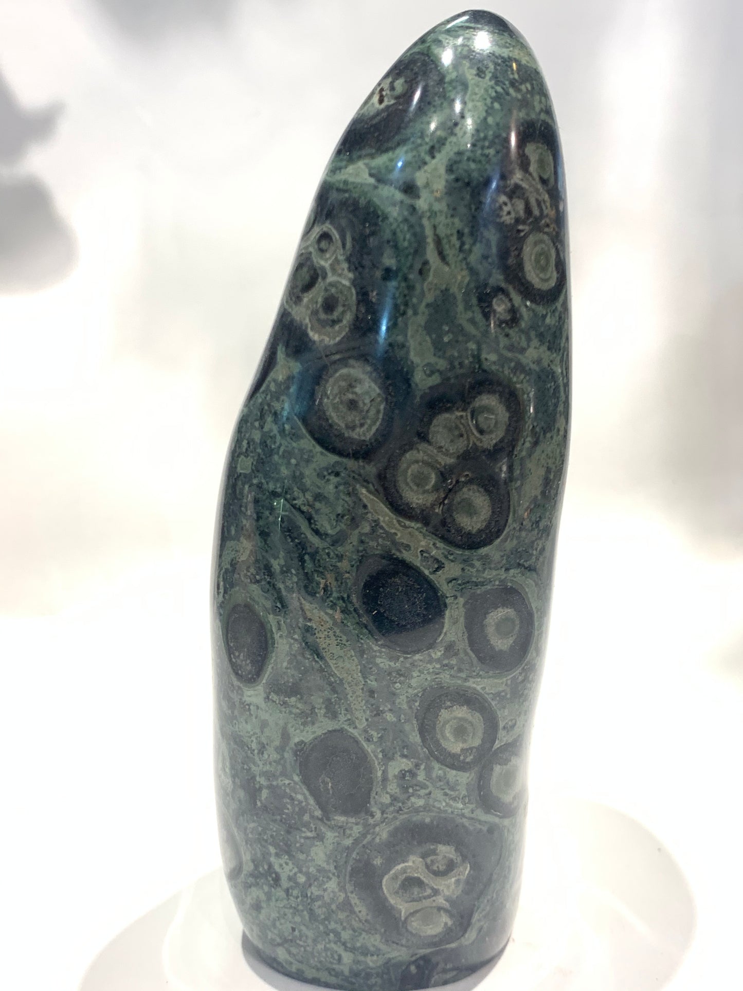 Kambaba Jasper (Nebula Stone)