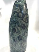 Kambaba Jasper (Nebula Stone)