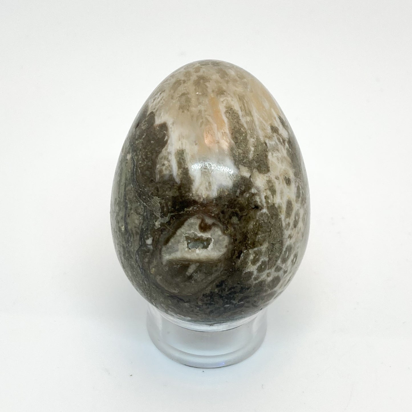 Fossilized Coral Yoni Egg