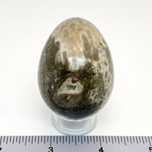 Fossilized Coral Yoni Egg