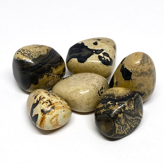 Jasper Cappuccino Tumbled