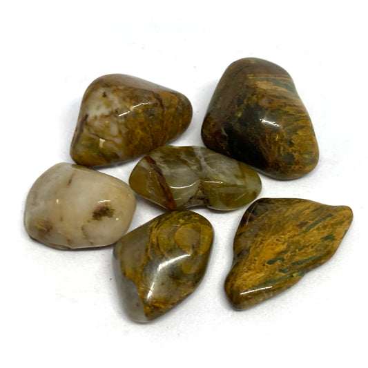 Jasper Lion Skin Tumbled