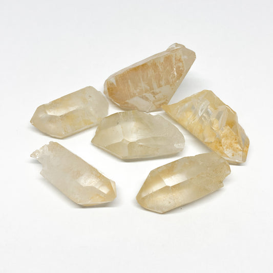 Lemurian Golden