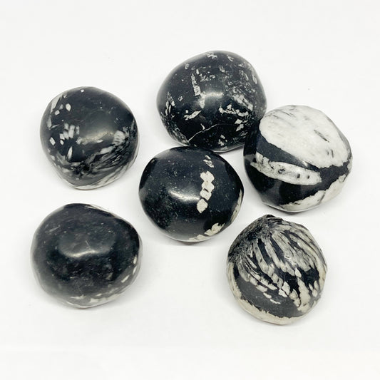 Obsidian Chrysanthemum Tumbled