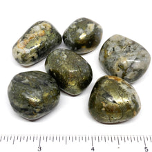Pyrite Golden Tumbled