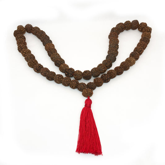 Rudra Seed Mala